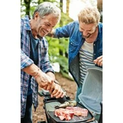 Weber Gasgrill Q 1200 Anzahl Brenner: 1, Hauptgrillfläche: 43 X 32 Cm, Schwarz -Küchengrill 12 1429